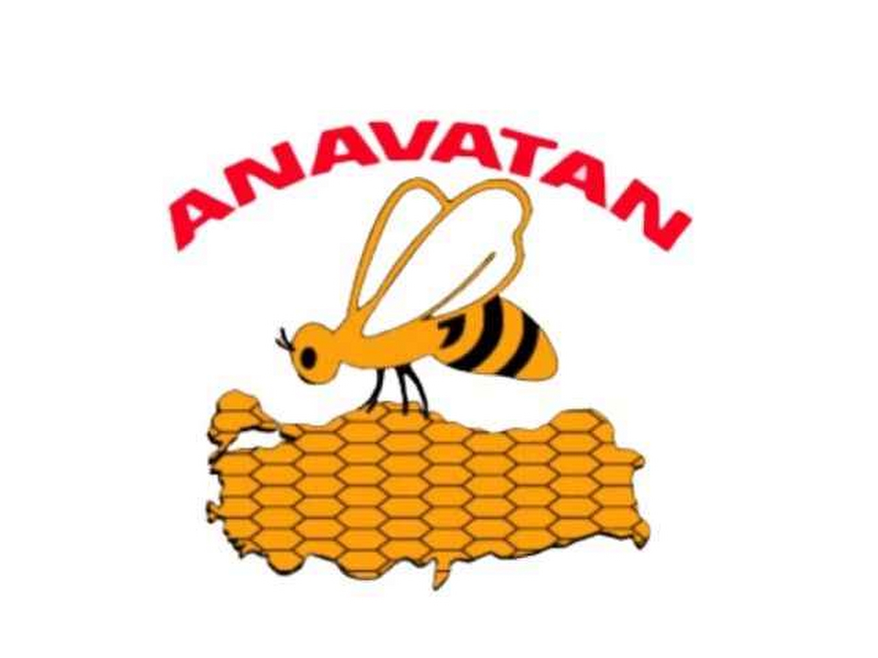 Anavatan Partisi Resim