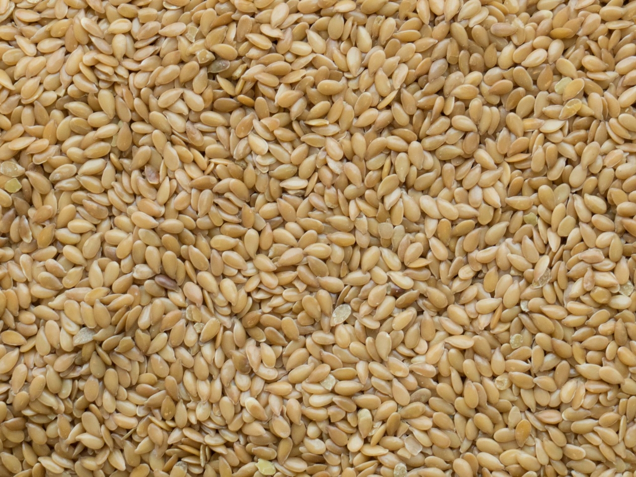 Malt Resim