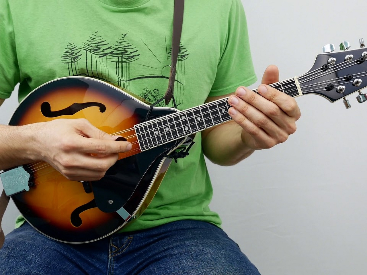 Mandolin Resimleri