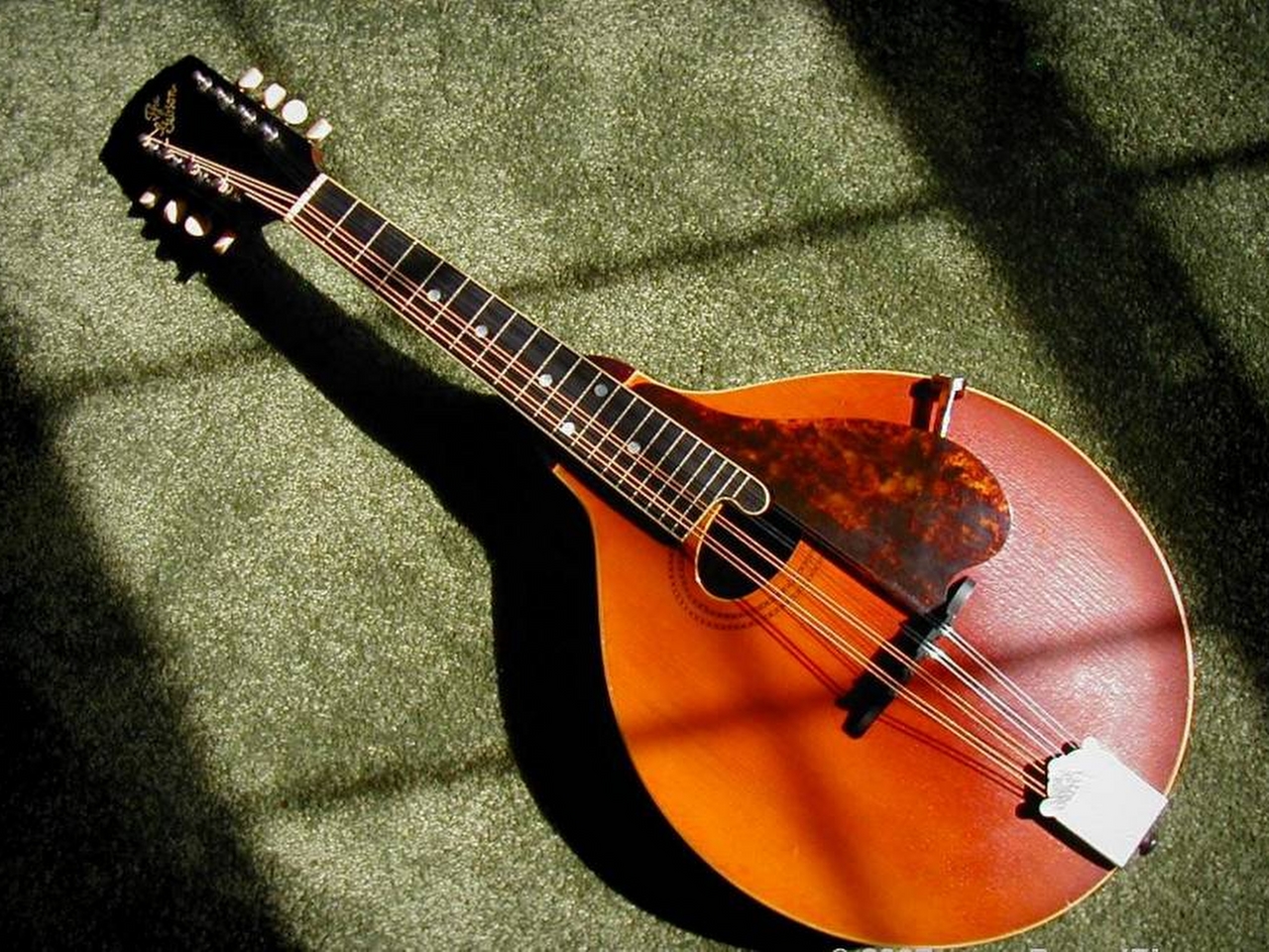 Mandolin Resim