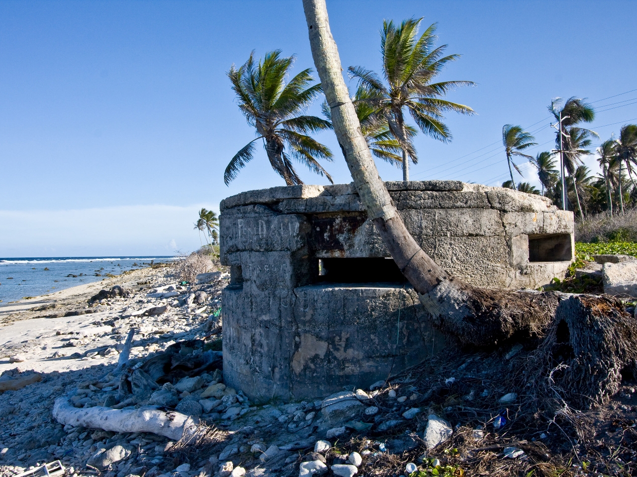 Nauru Resim