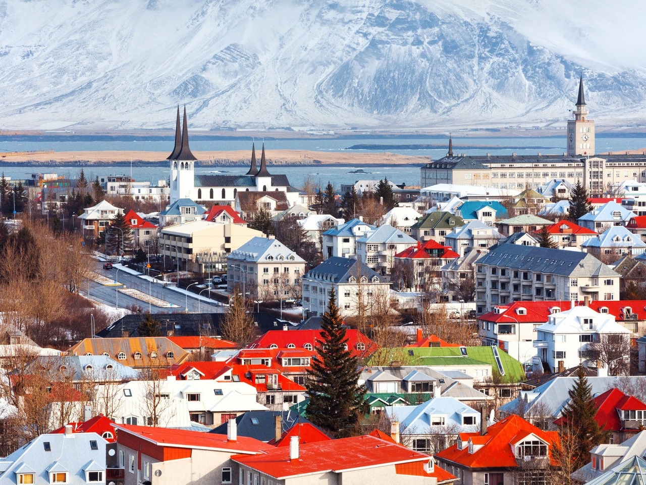 Reykjavik Resimleri